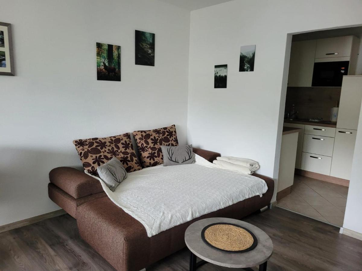 Ferienwohnung Hilde Бад-Петерсталь-Ґрісбах Екстер'єр фото